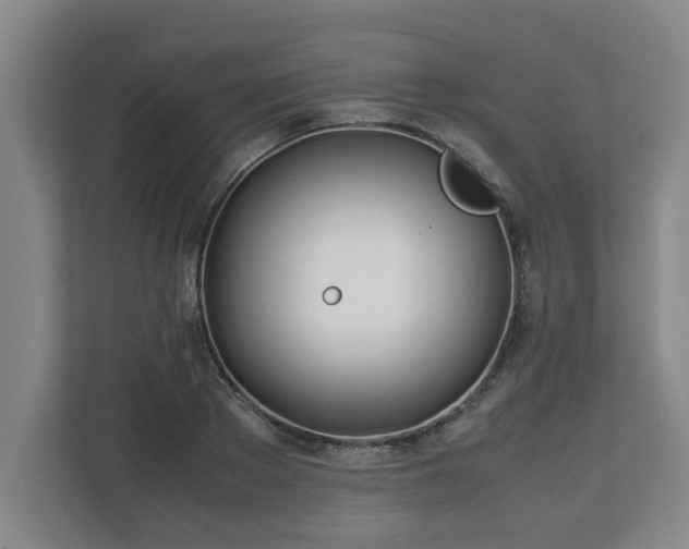 X0000113090889200909041147