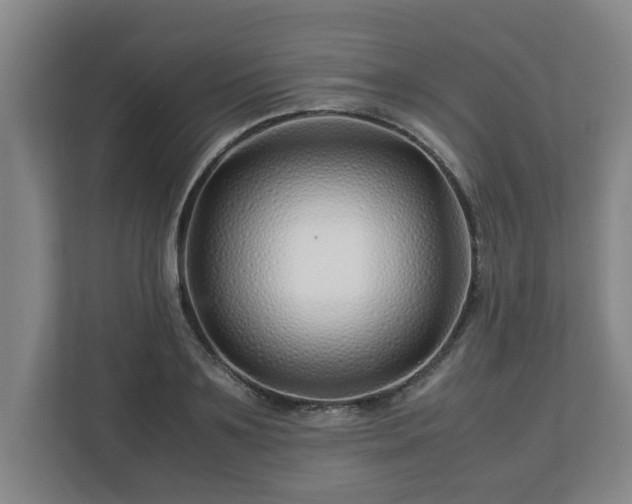 X0000113090891200909041147