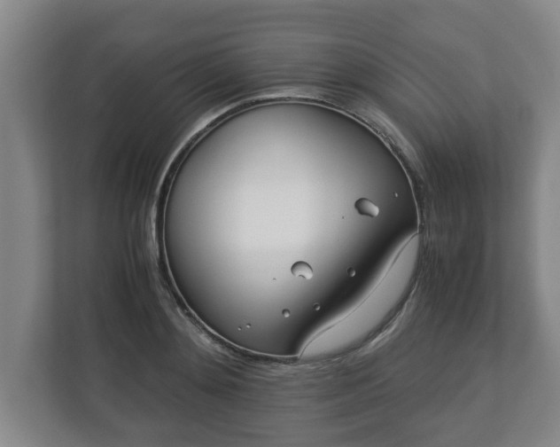 X0000113090892200909041147
