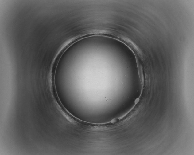 X0000113090894200909041147