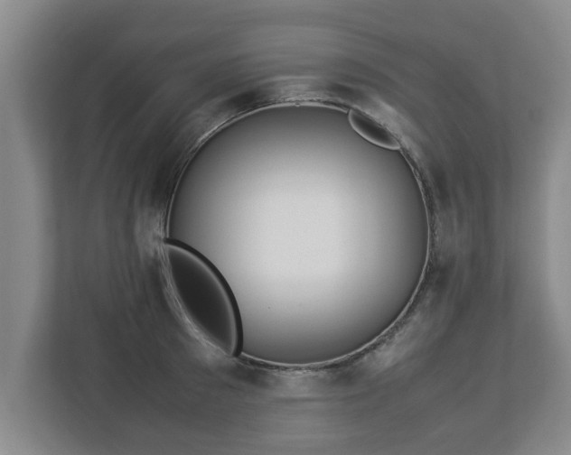 X0000113090897200909041147