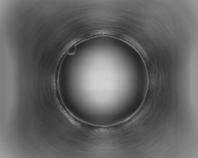 X0000113090898200909041147
