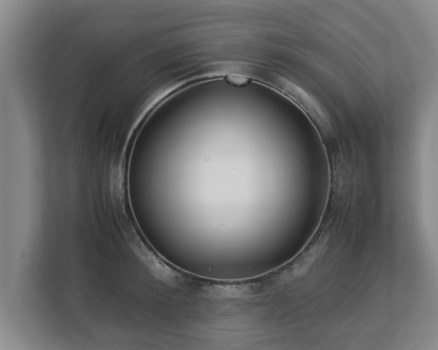 X0000113090900200909041146