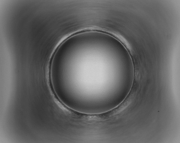 X0000113090903200909041146