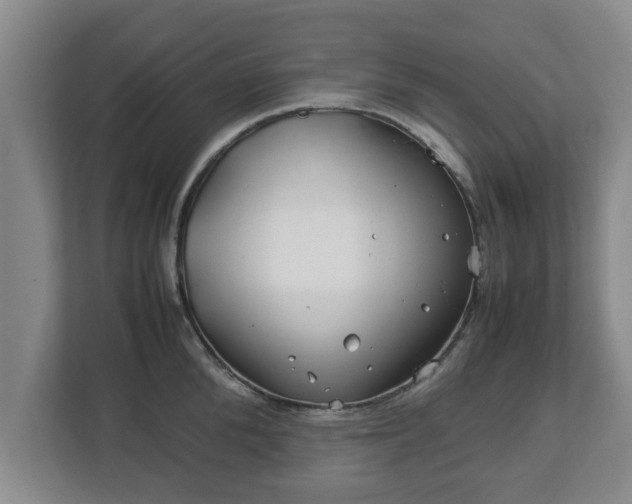 X0000113090904200909041146