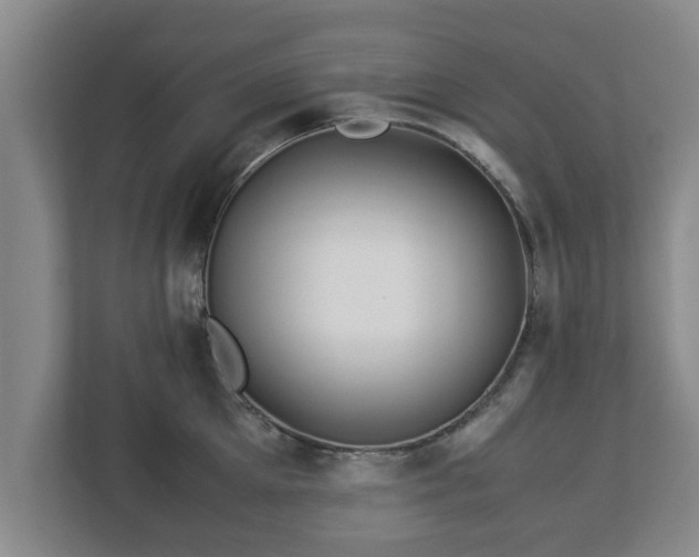 X0000113090905200909041146