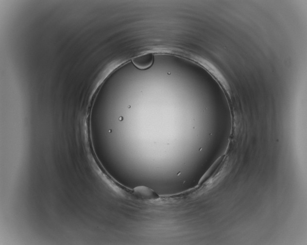 X0000113090906200909041146