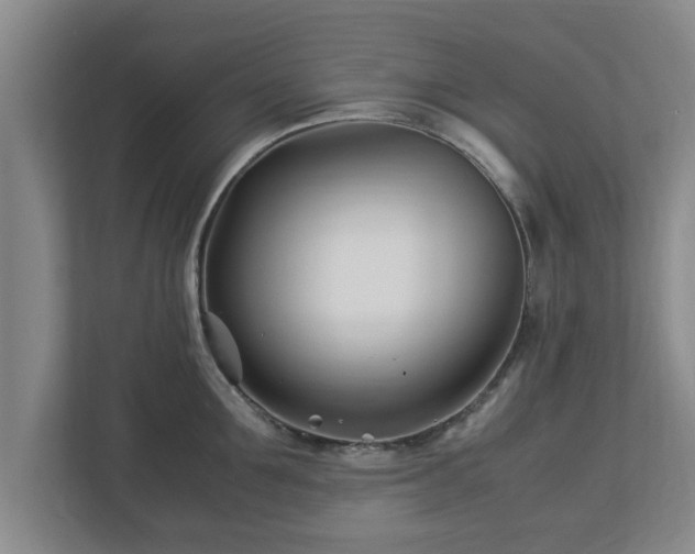 X0000113090907200909041146