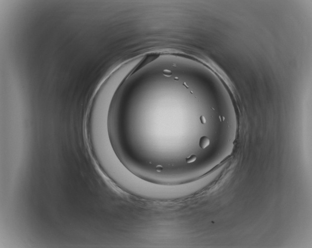 X0000113090909200909041146