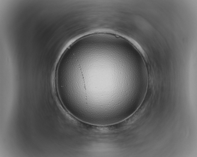 X0000113090911200909041146