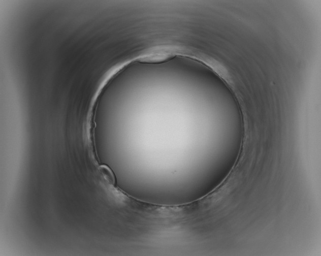 X0000113090912200909041146