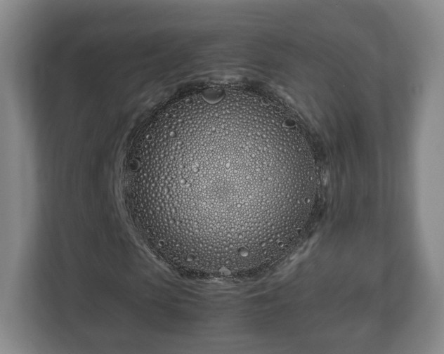 X0000113090913200909041146