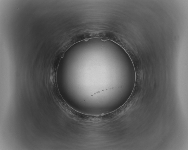 X0000113090914200909041146