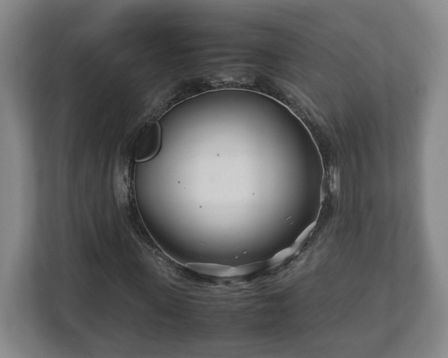 X0000113090915200909041146