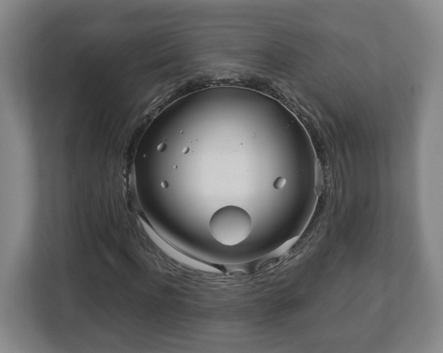 X0000113090916200909041146