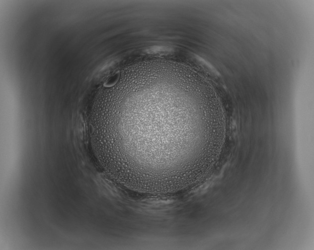 X0000113090917200909041146