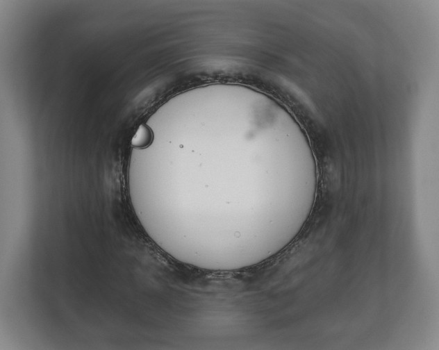 X0000113090918200909041146