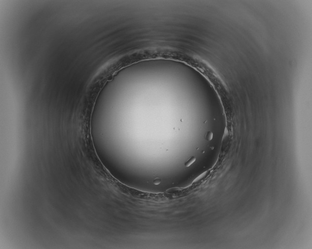 X0000113090919200909041146