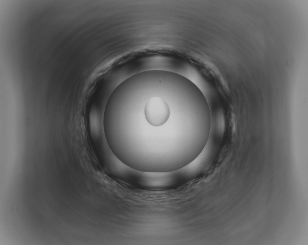X0000113090920200909041146