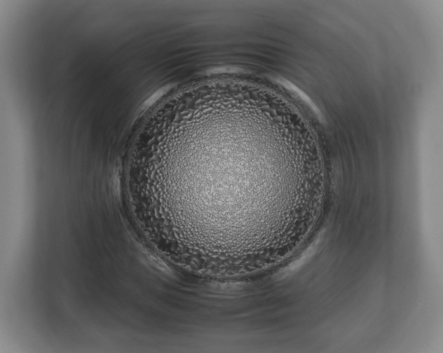 X0000113090921200909041146