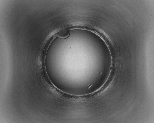 X0000113090922200909041146