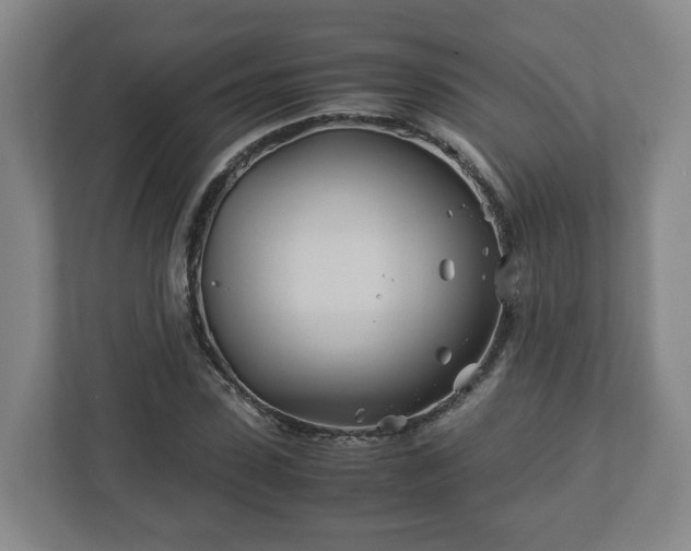 X0000113090923200909041146