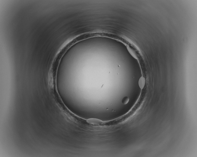 X0000113090925200909041146