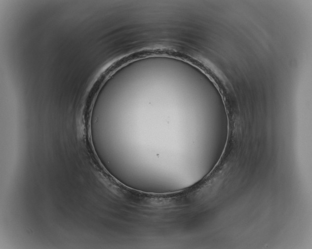 X0000113090927200909041146
