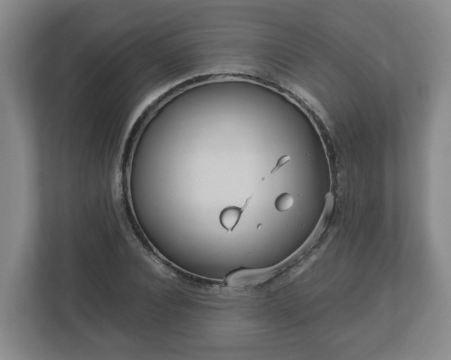 X0000113090928200909041146