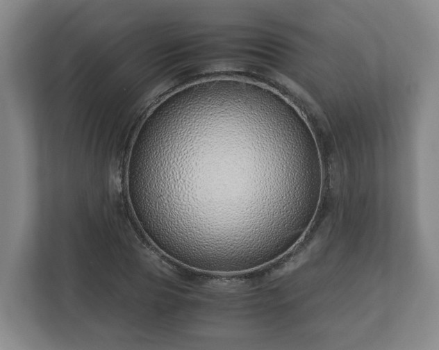 X0000113090929200909041146