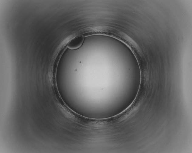 X0000113090930200909041146