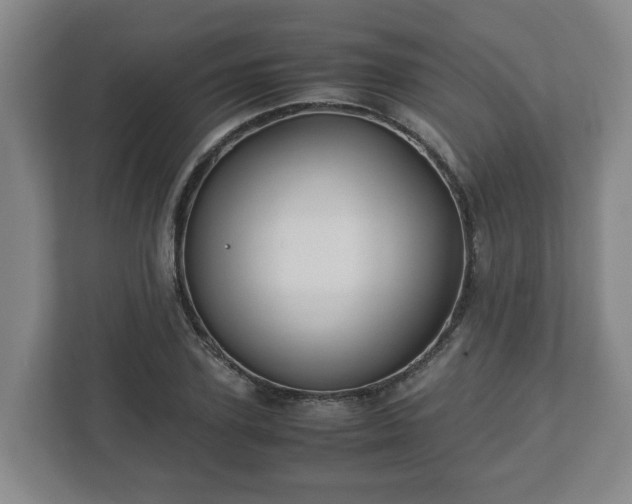 X0000113090931200909041146