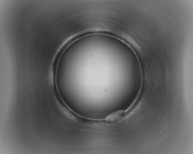 X0000113090934200909041146