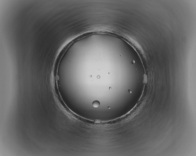 X0000113090936200909041146