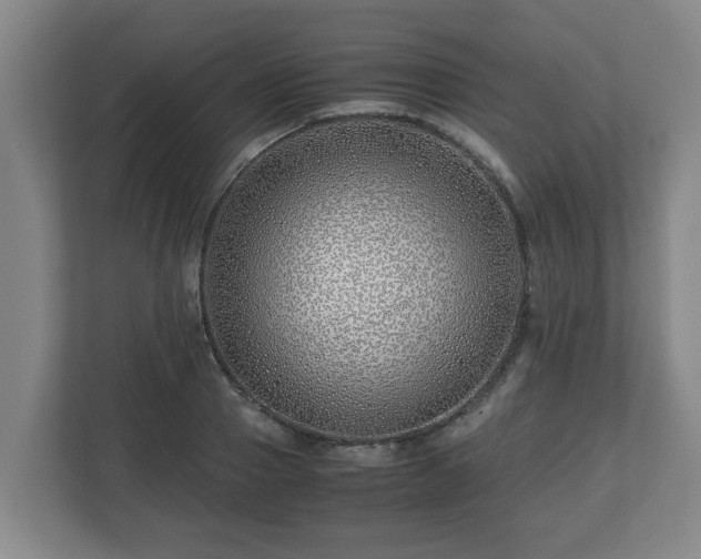 X0000113090937200909041146