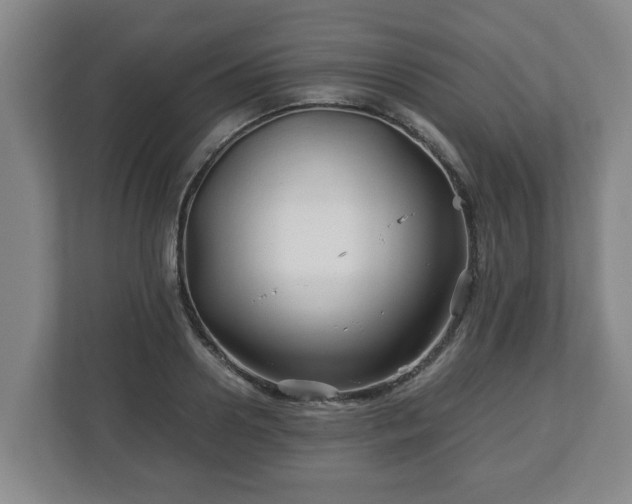 X0000113090938200909041146