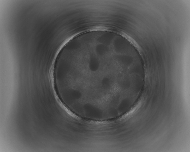 X0000113090941200909041146