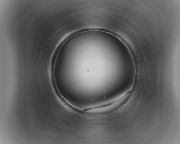 X0000113090942200909041146