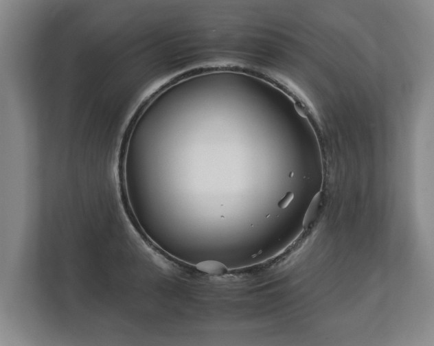 X0000113090943200909041146