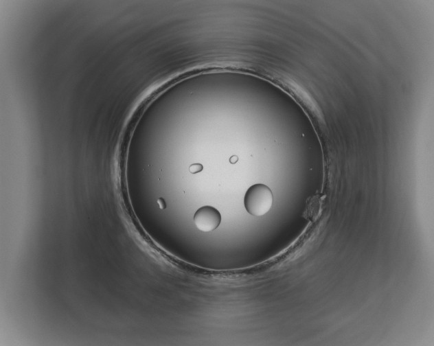 X0000113090944200909041146