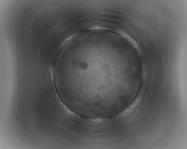 X0000113090945200909041146
