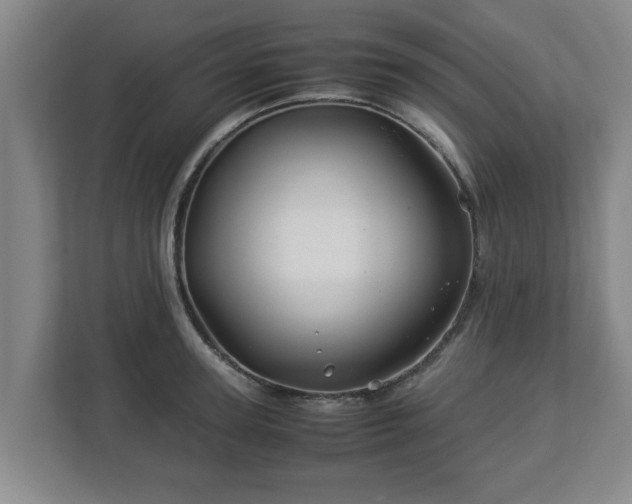 X0000113090947200909041146