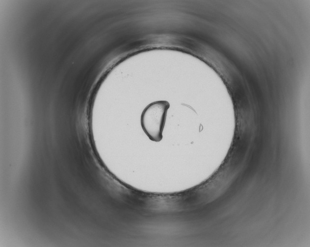 X0000113090950200909041146