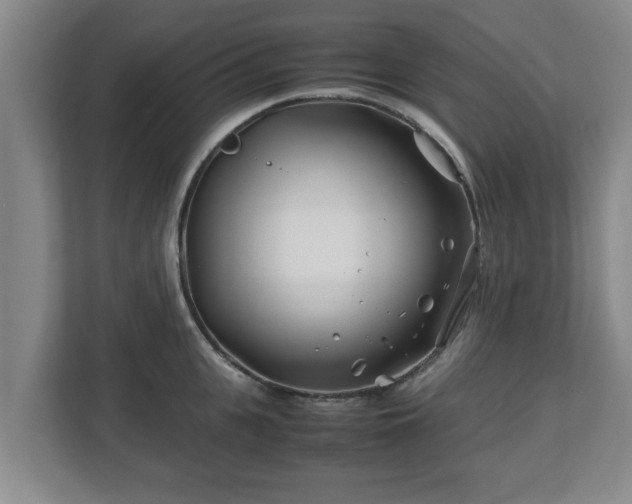 X0000113090951200909041146
