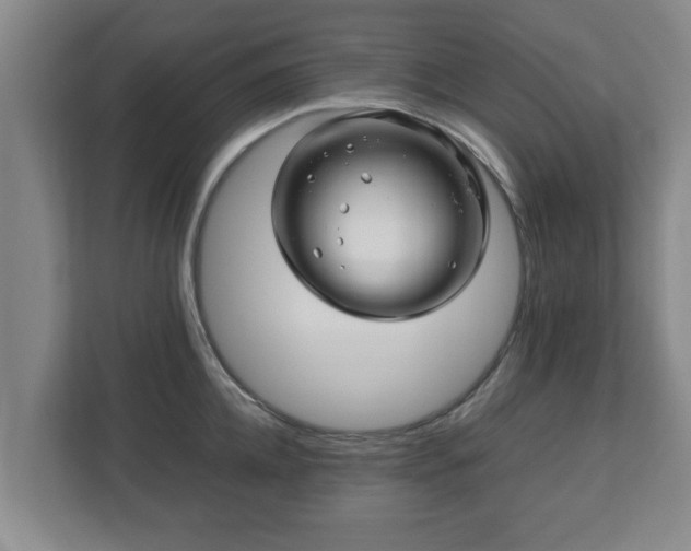 X0000113090952200909041146