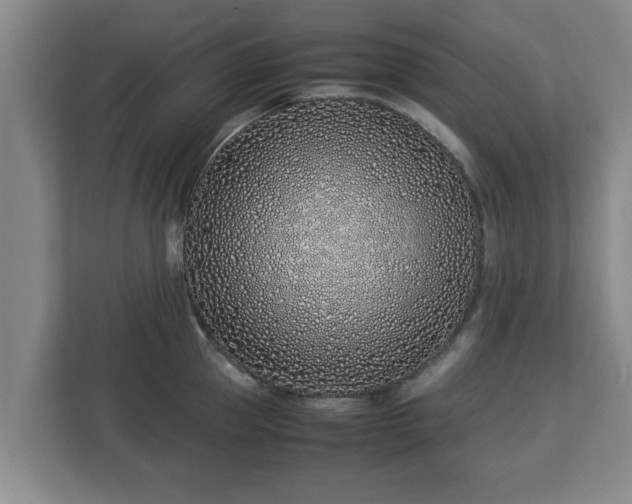 X0000113090953200909041146