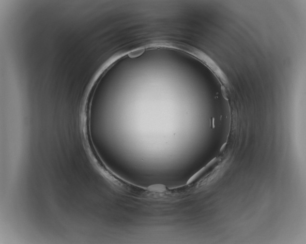 X0000113090955200909041146