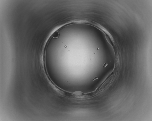 X0000113090959200909041146