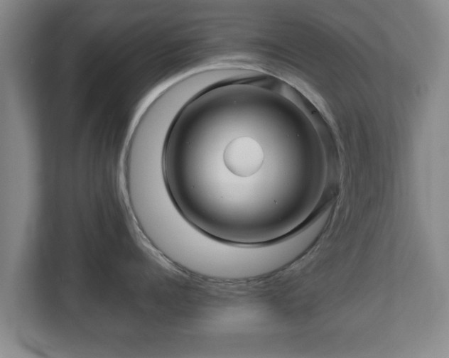 X0000113090960200909041146