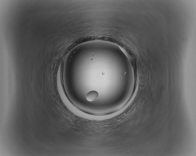 X0000113090961200909041146